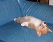 thumb-image-2024-02-29T13:59:28.893Z