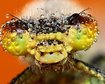 thumb-image-2024-02-29T13:59:29.414Z