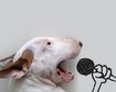 thumb-image-2024-02-29T13:59:30.020Z