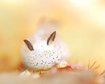 thumb-image-2024-02-29T13:59:30.132Z