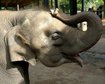 thumb-image-2024-02-29T13:59:30.406Z