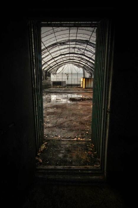 Fotos guardam memórias aterrorizadoras de sanatórios abandonados