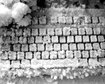 thumb-image-2024-02-29T13:59:30.386Z