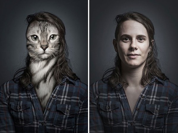 E se cães e gatos fossem vestidos como seus donos?