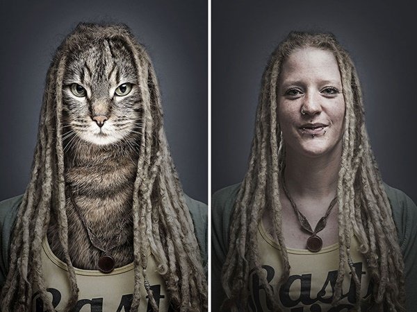 E se cães e gatos fossem vestidos como seus donos?