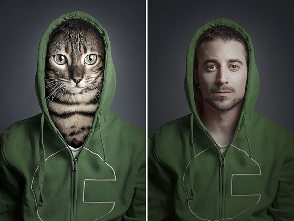 E se cães e gatos fossem vestidos como seus donos?