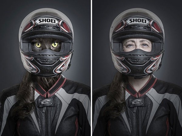E se cães e gatos fossem vestidos como seus donos?