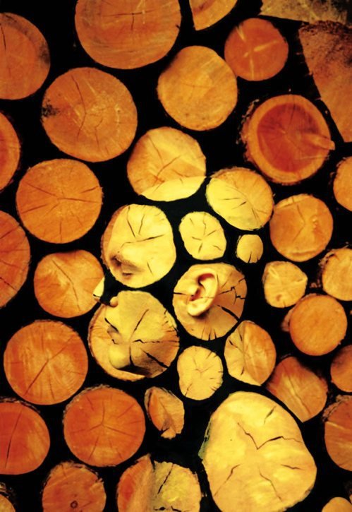 Tela viva: 5 artistas incríveis e suas pinturas corporais