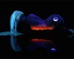 thumb-image-2024-02-29T13:59:30.623Z