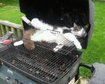 thumb-image-2024-02-29T13:59:31.217Z