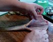 thumb-image-2024-02-29T13:59:31.352Z