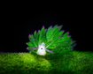 thumb-image-2024-02-29T13:59:31.643Z
