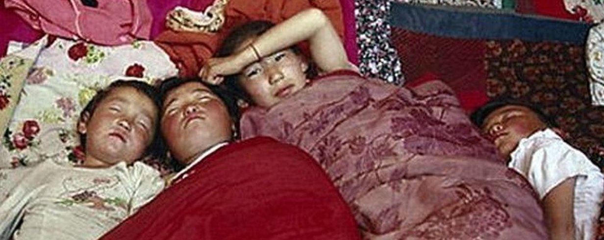 thumb-image-2024-02-29T13:59:31.767Z