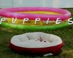 thumb-image-2024-02-29T13:59:31.932Z