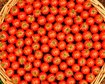 thumb-image-2024-02-29T13:59:31.988Z