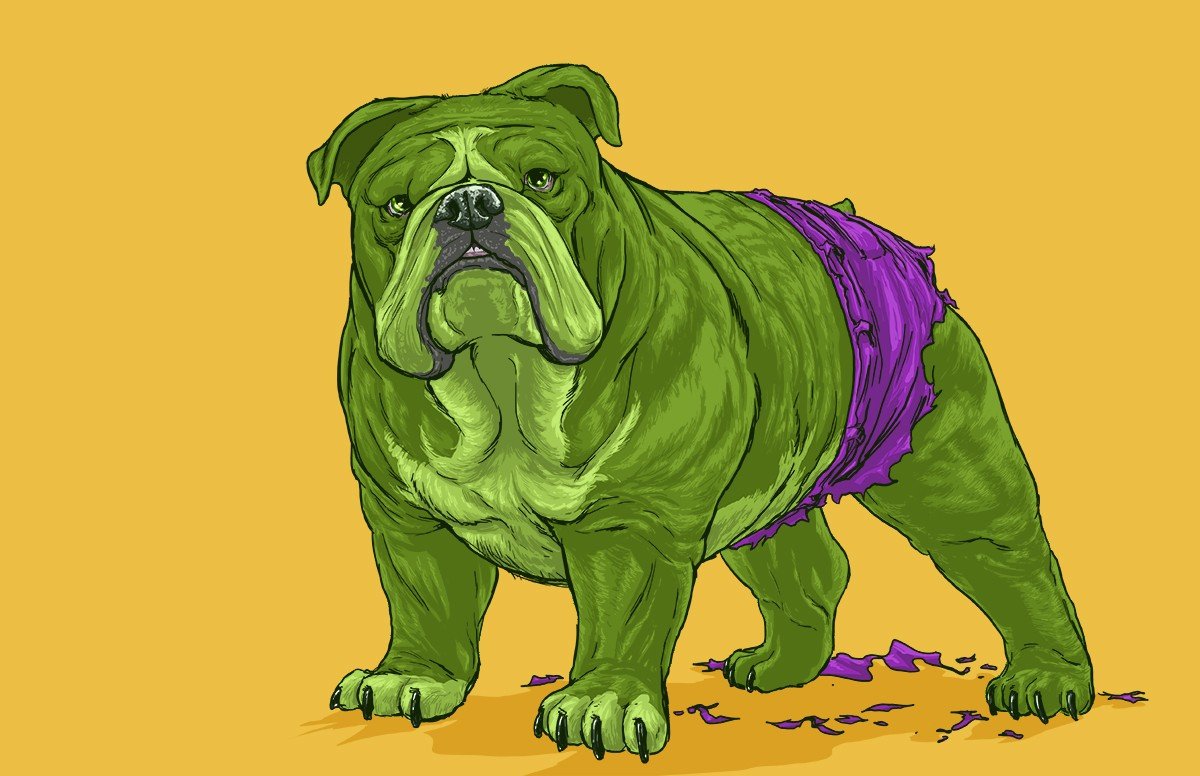 Misturar personagens da Marvel com cachorros? Claro que dá certo!