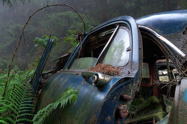 Cemitérios de aviões e carros: memórias da Segunda Guerra Mundial
