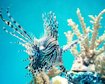 thumb-image-2024-02-29T13:59:32.396Z