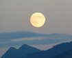thumb-image-2024-02-29T13:59:32.693Z