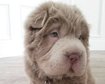thumb-image-2024-02-29T13:59:32.704Z
