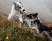 thumb-image-2024-02-29T13:59:32.961Z