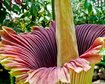 thumb-image-2024-02-29T13:59:33.045Z