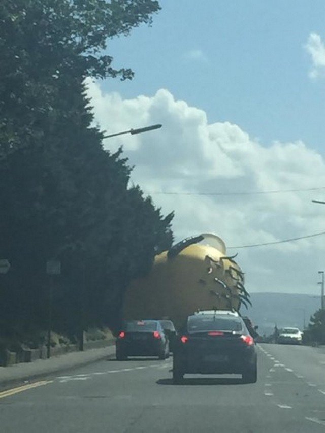 Minion gigante voador assusta moradores de Dublin, na Irlanda