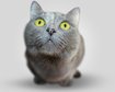 thumb-image-2024-02-29T13:59:33.146Z