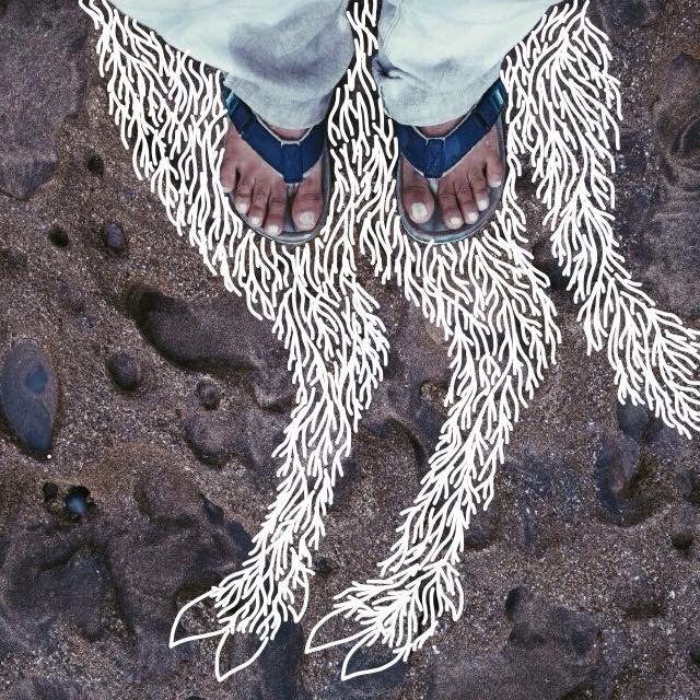 Quando os sapatos contam a história: 54 ilustrações divertidas de pés