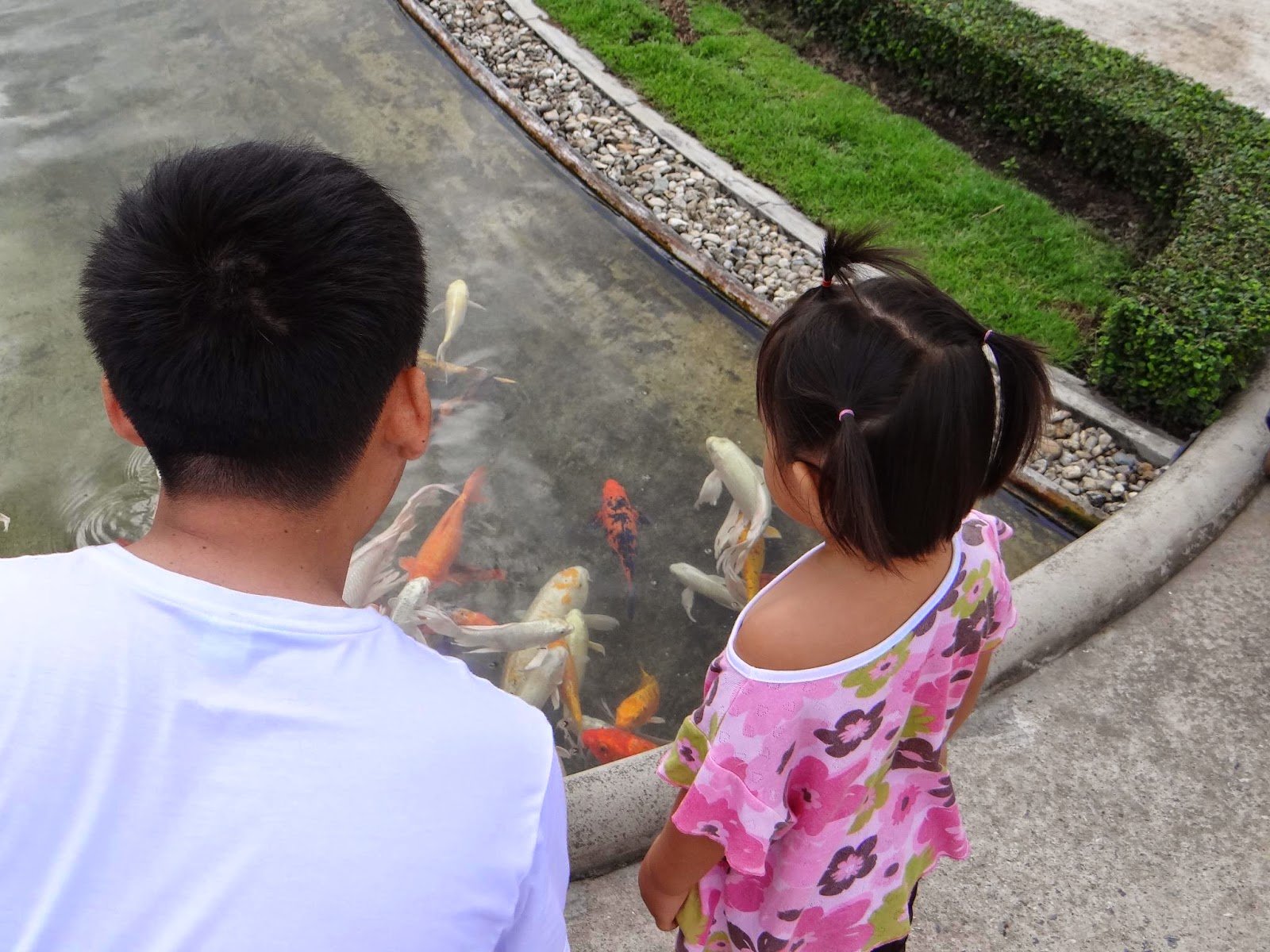 Turistas podem alimentar os peixes que ficam no lago que circunda o templo