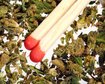thumb-image-2024-02-29T13:59:35.224Z