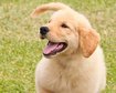 thumb-image-2024-02-29T13:59:35.291Z