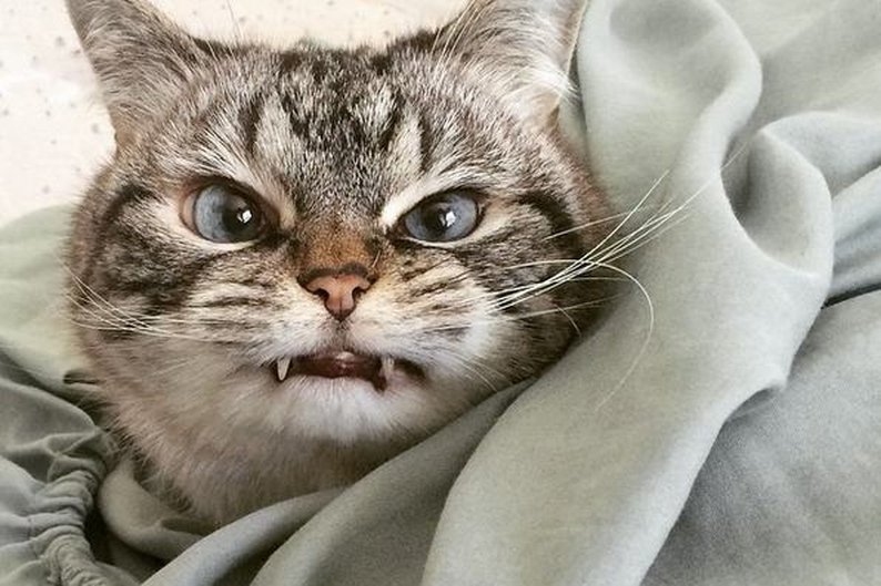 Eu sei que você me acha linda
