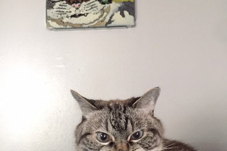 Presente dos fãs
