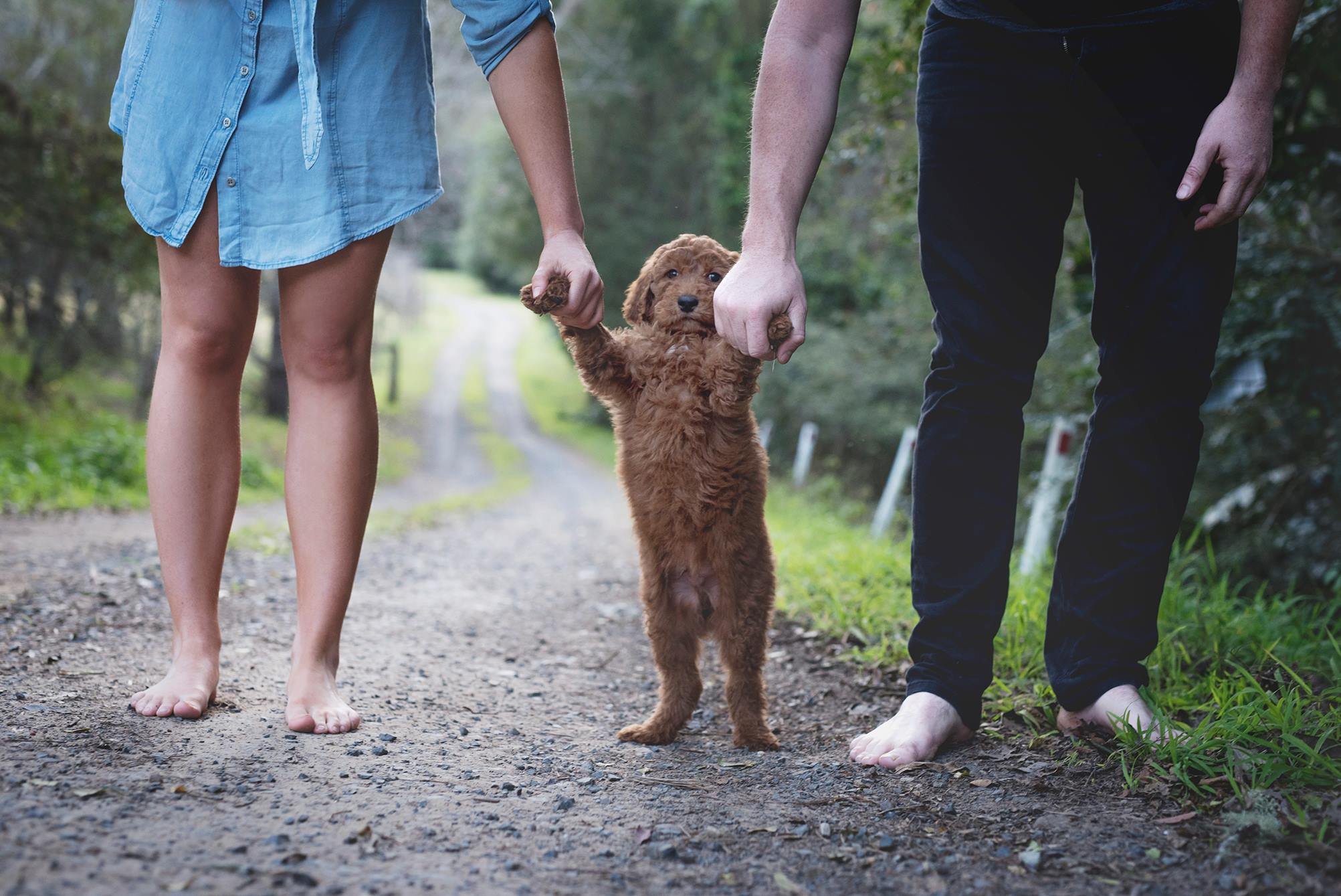Inusitado: casal prepara surpresa para os pais com fotos do ‘netinho’