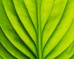 thumb-image-2024-02-29T13:59:36.468Z