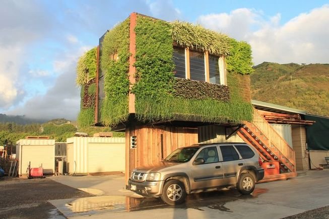 ‘Casa árvore’ ou ‘casa na árvore’? Conheça esse projeto inovador