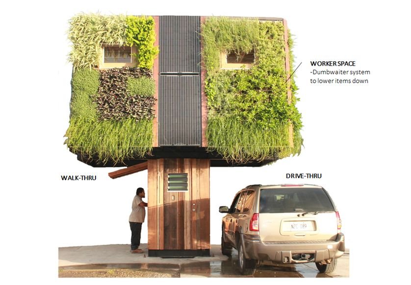 ‘Casa árvore’ ou ‘casa na árvore’? Conheça esse projeto inovador