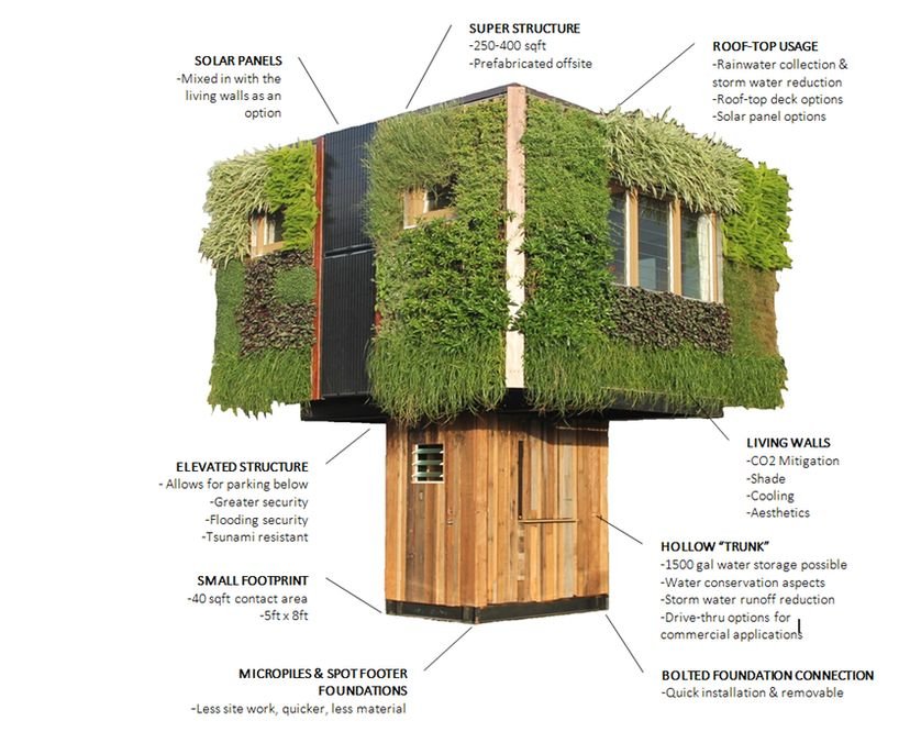 ‘Casa árvore’ ou ‘casa na árvore’? Conheça esse projeto inovador