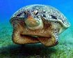 thumb-image-2024-02-29T13:59:37.016Z