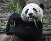 thumb-image-2024-02-29T13:59:37.229Z