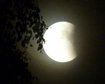thumb-image-2024-02-29T13:59:37.401Z