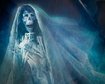 thumb-image-2024-02-29T13:59:37.382Z