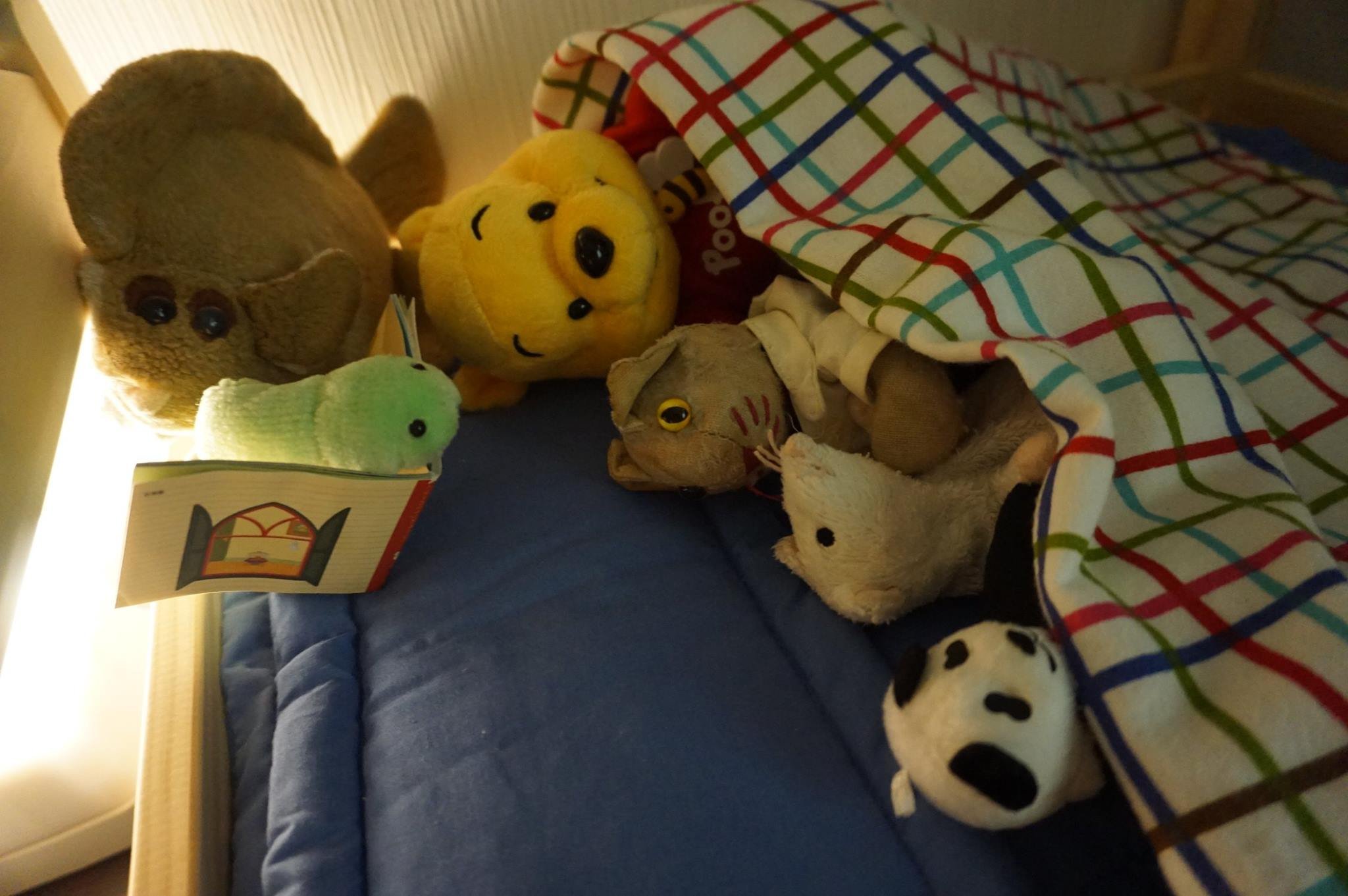 Eles também ouvem histórias para dormir...