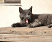 thumb-image-2024-02-29T13:59:37.841Z