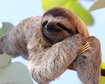 thumb-image-2024-02-29T13:59:38.011Z