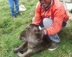 thumb-image-2024-02-29T13:59:39.474Z