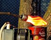 thumb-image-2024-02-29T13:59:39.510Z