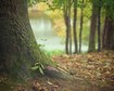 thumb-image-2024-02-29T13:59:39.571Z