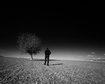 thumb-image-2024-02-29T13:59:39.604Z